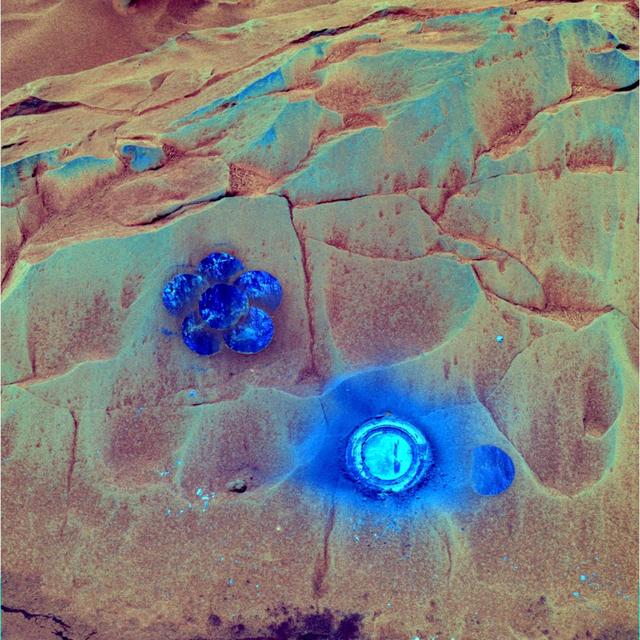 NASA image: Daisy in Full Bloom on Mazatzal False Color