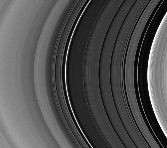 Light Shed on the Division