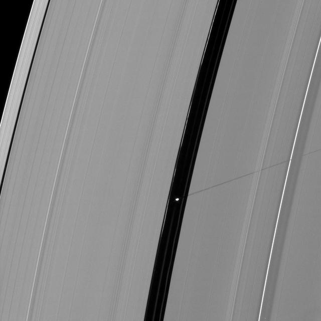 Saturn moon Pan casts a longer shadow across the A ring as the planet August 2009 equinox draws near.