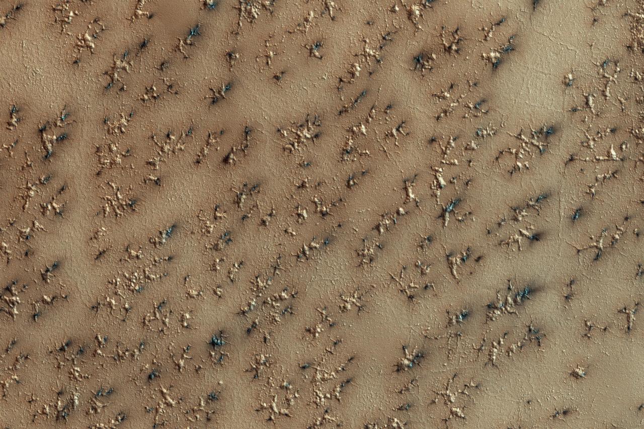 NASA Mars Reconnaissance Orbiter spies a layer of dry ice covering Mars south polar layer. In the spring, gas created from heating of the dry ice escapes through ruptures in the overlying seasonal ice, entraining material from the ground below. The gas erodes channels in the surface, generally exploiting weaker material. The ground likely started as polygonal patterned ground (common in water-ice-rich surfaces), and then escaping gas widened the channels. Fans of dark material are bits of the surface carried onto the top of the seasonal ice layer and deposited in a direction determined by local winds. http://photojournal.jpl.nasa.gov/catalog/PIA11706