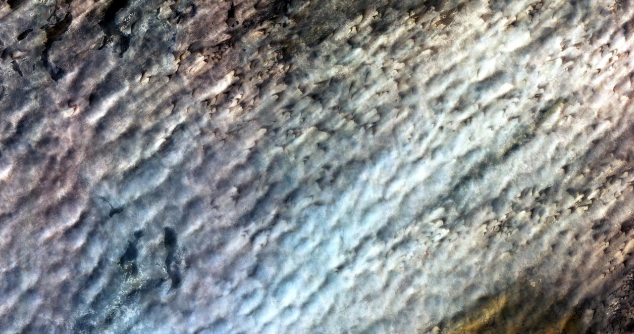 NASA Terra spacecraft monitored the migration of sand dunes in the Bodele depression of northern Chad from at various times from one month to 6.5 years