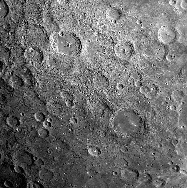 Amaral Color Palette