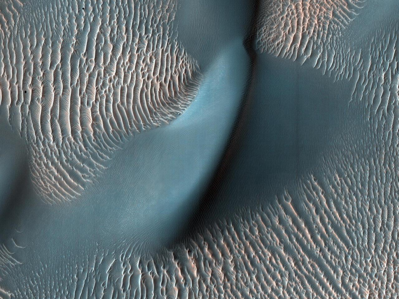 Sand Dunes and Ripples in Proctor Crater, Mars