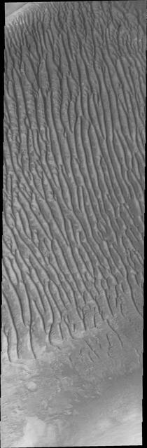 NASA image: Dunes