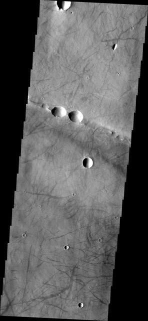 NASA image: Dust Devil Tracks