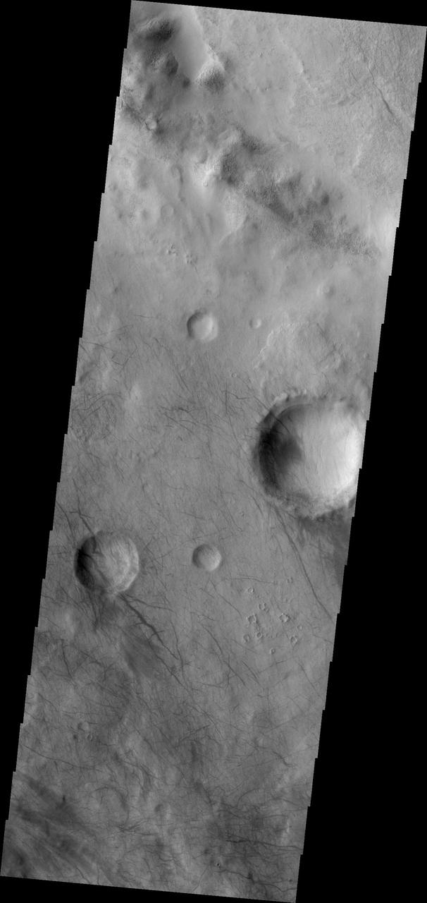 Dust Devil Tracks
