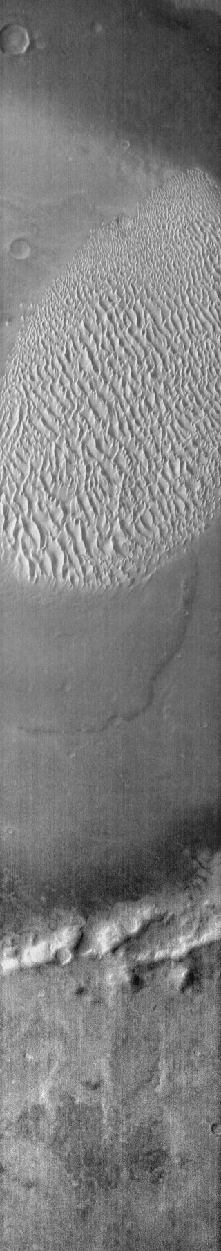 This infrared image of Proctor Crater shows the dune field on the floor of the crater. The dunes are bright in this daytime image, indicating they are warmer than the surrounding crater materials.