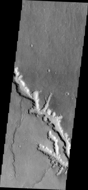 NASA image: Channel