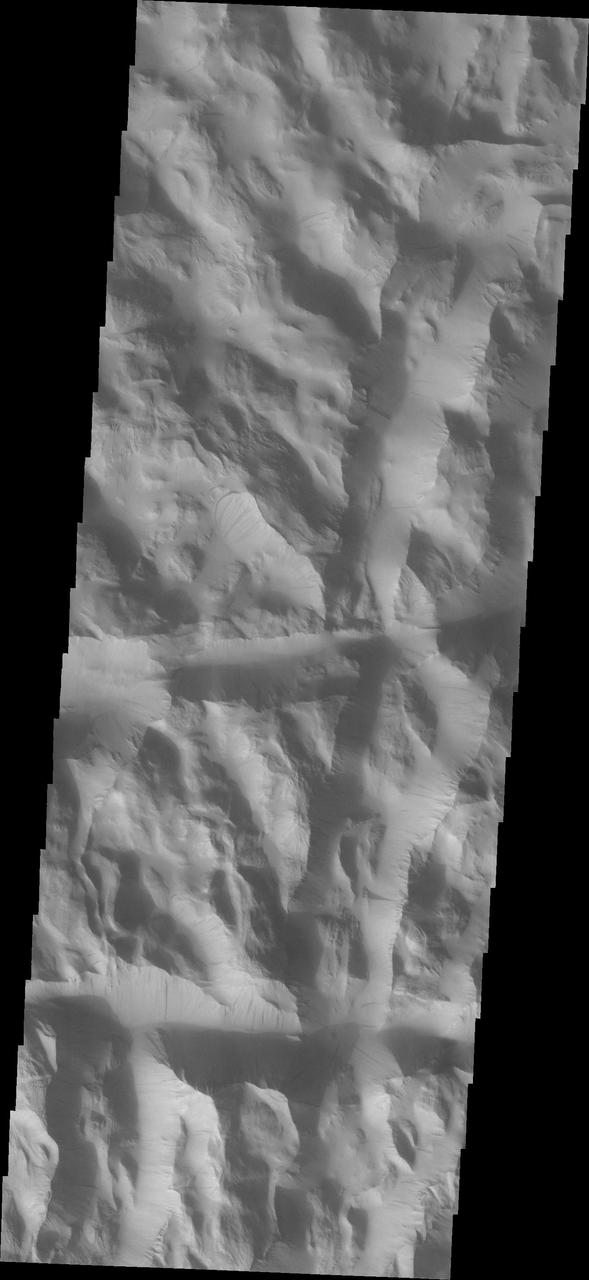 Dark slope streaks are common in Lycus Sulci in this 2001 Mars Odyssey THEMIS VIS image.