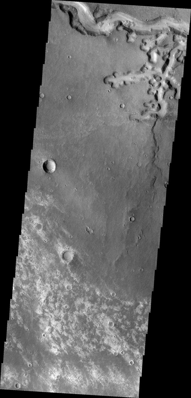 This 2001 Mars Odyssey THEMIS VIS image shows a portion of Nirgal Vallis and a scalloped tributary channel.