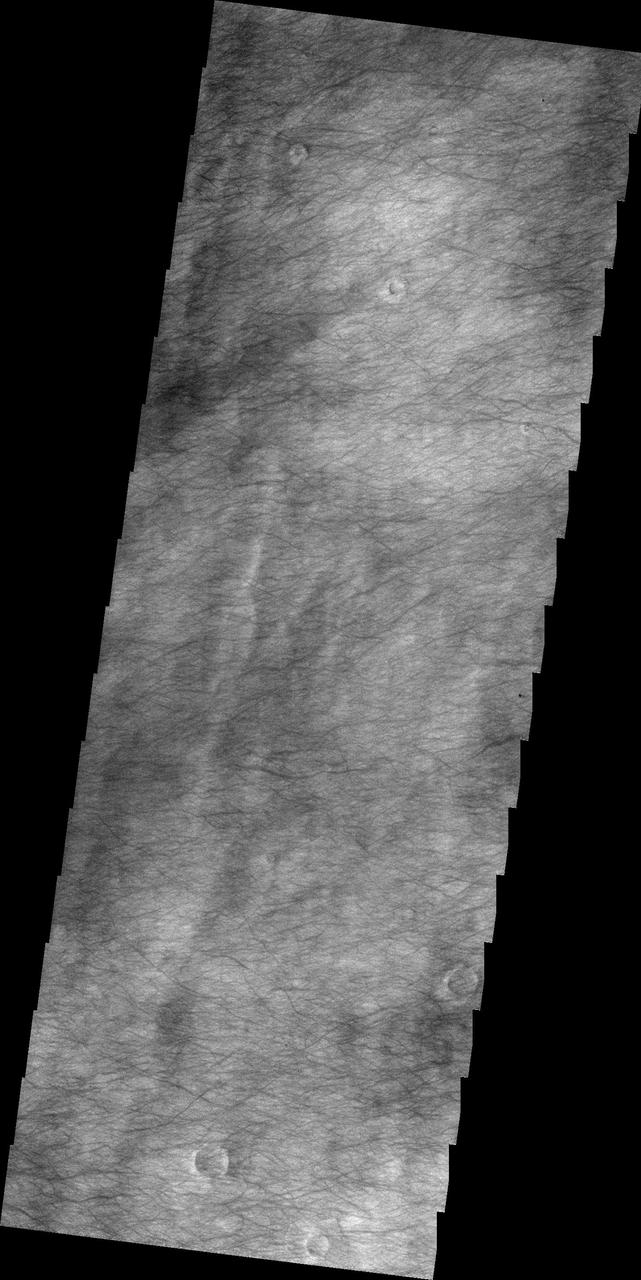 The plains of Planum Chronium shown in this 2001 Mars Odyssey THEMIS VIS image are covered by hundreds of dust devil tracks.