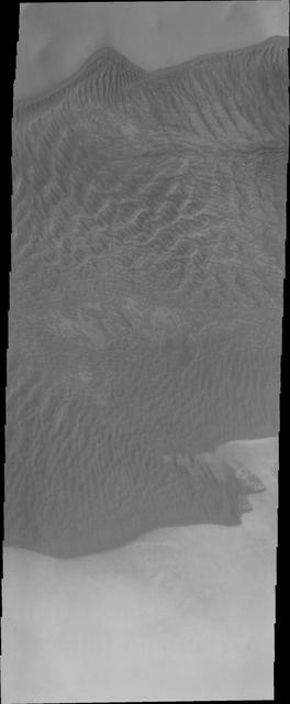 This VIS image of Charlier Crater sand sheet was taken at the same time as yesterday THEMIS IR image. In this image the dunes are darker than the surroundings, unlike yesterday thermal image.
