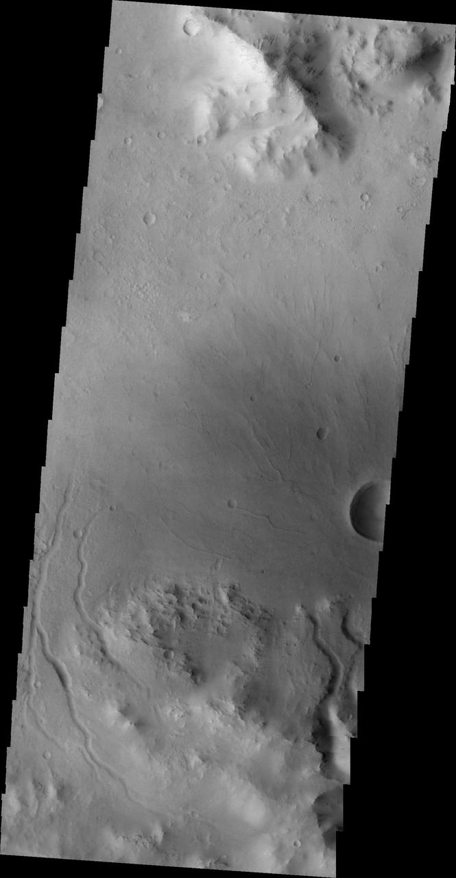 The channels in this image are draining the rim of an unnamed crater in Terra Sabaea.