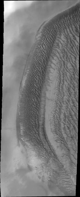 This daytime infrared image of Kaiser Crater shows warm dunes on the crater floor.