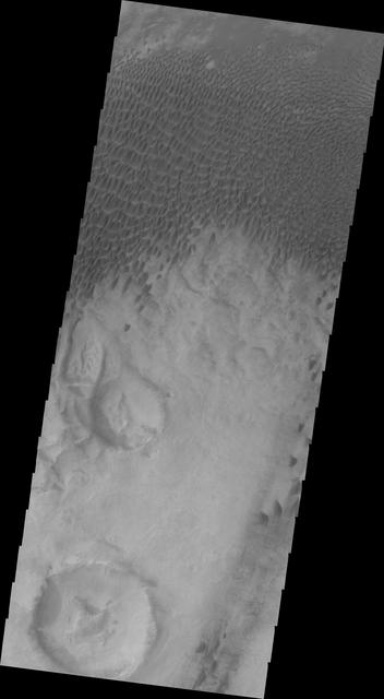 NASA image: Dunes in Aonia Terra