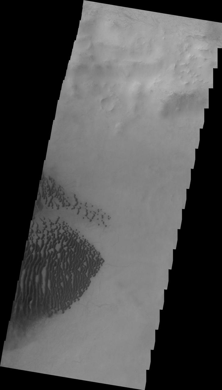 This 2001 Mars Odyssey image shows dark dunes on the floor of Lamont Crater.