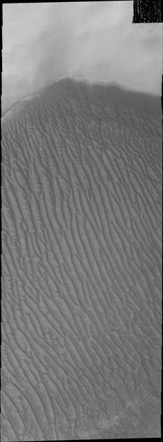 This 2001 Mars Odyssey image shows the sand sheet with surface dune forms located on the floor of Richardson Crater.