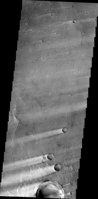 This 2001 Mars Odyssey image shows windstreaks located on the Syrtis Major Volcanic complex.