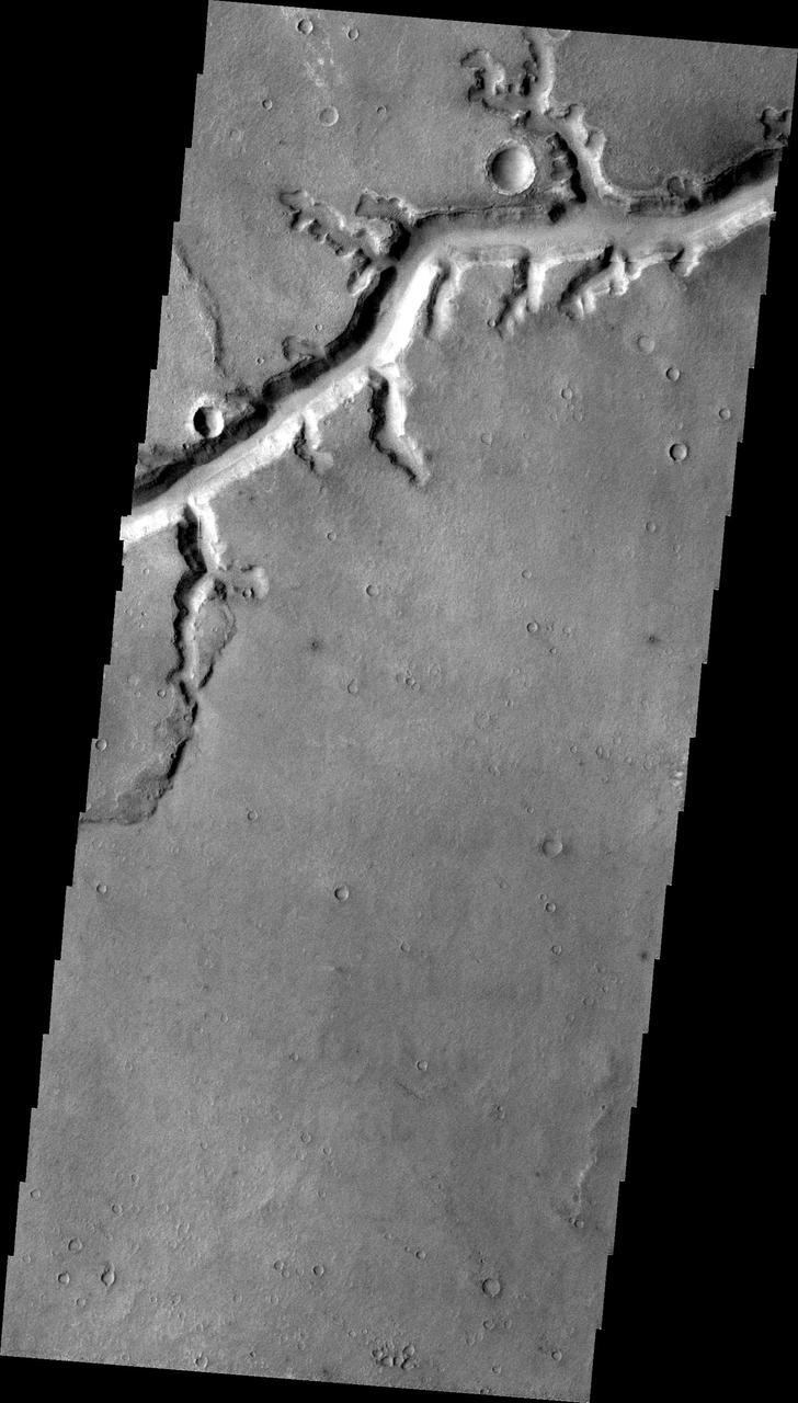 NASA 2001 Mars Odyssey image shows a portion of Nirgal Vallis.