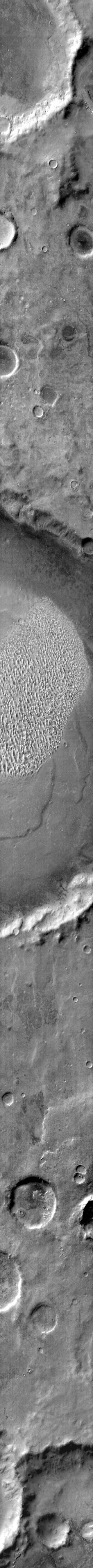 This Mars Odyssey mage shows the eastern part of the Proctor Crater dune field. The dunes are warm bright in this image.