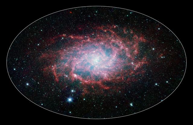 M33: A Close Neighbor Reveals its True Size and Splendor