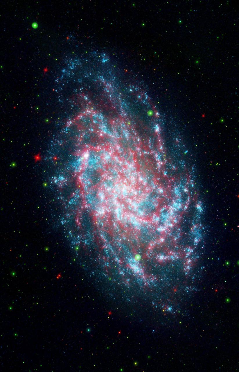 NASA Galaxy Evolution Explorer Mission celebrates its sixth anniversary studying galaxies beyond our Milky Way through its sensitive ultraviolet telescope, the only such far-ultraviolet detector in space. Pictured here, the galaxy NGC598 known as M33.  The mission studies the shape, brightness, size and distance of distant galaxies across 10 billion years of cosmic history, giving scientists a wealth of data to help us better understand the origins of the universe. One such object is pictured here, the galaxy NGC598, more commonly known as M33.  This image is a blend of the Galaxy Evolution Explorer's M33 image and another taken by NASA's Spitzer Space Telescope. M33, one of our closest galactic neighbors, is about 2.9 million light-years away in the constellation Triangulum, part of what's known as our Local Group of galaxies.  Together, the Galaxy Evolution Explorer and Spitzer can see a broad spectrum of sky. Spitzer, for example, can detect mid-infrared radiation from dust that has absorbed young stars' ultraviolet light. That's something the Galaxy Evolution Explorer cannot see. This combined image shows in amazing detail the beautiful and complicated interlacing of the heated dust and young stars. In some regions of M33, dust gathers where there is very little far-ultraviolet light, suggesting that the young stars are obscured or that stars farther away are heating the dust. In some of the outer regions of the galaxy, just the opposite is true: There are plenty of young stars and very little dust.  Far-ultraviolet light from young stars glimmers blue, near-ultraviolet light from intermediate age stars glows green, and dust rich in organic molecules burns red. This image is a 3-band composite including far infrared as red.   http://photojournal.jpl.nasa.gov/catalog/PIA11998