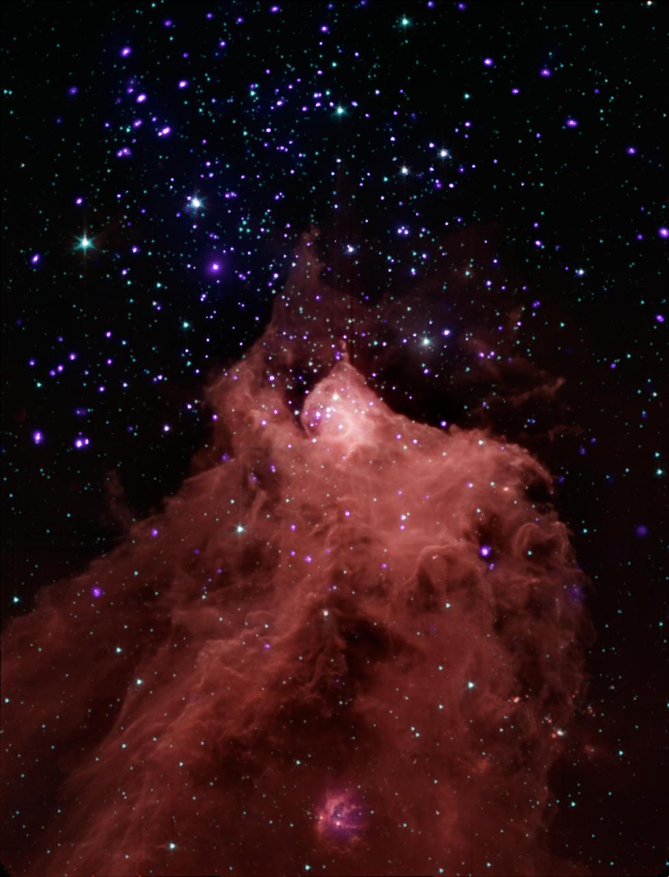 This composite image, combining data from NASA Chandra X-ray Observatory and Spitzer Space Telescope shows the star-forming cloud Cepheus B, located in our Milky Way galaxy about 2,400 light years from Earth