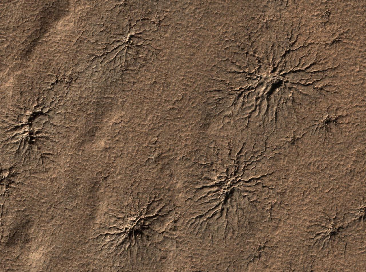 The High Resolution Imaging Science Experiment camera on NASA Mars Reconnaissance Orbiter captured this image of spider-shaped features on Mars, carved by vaporizing dry ice.