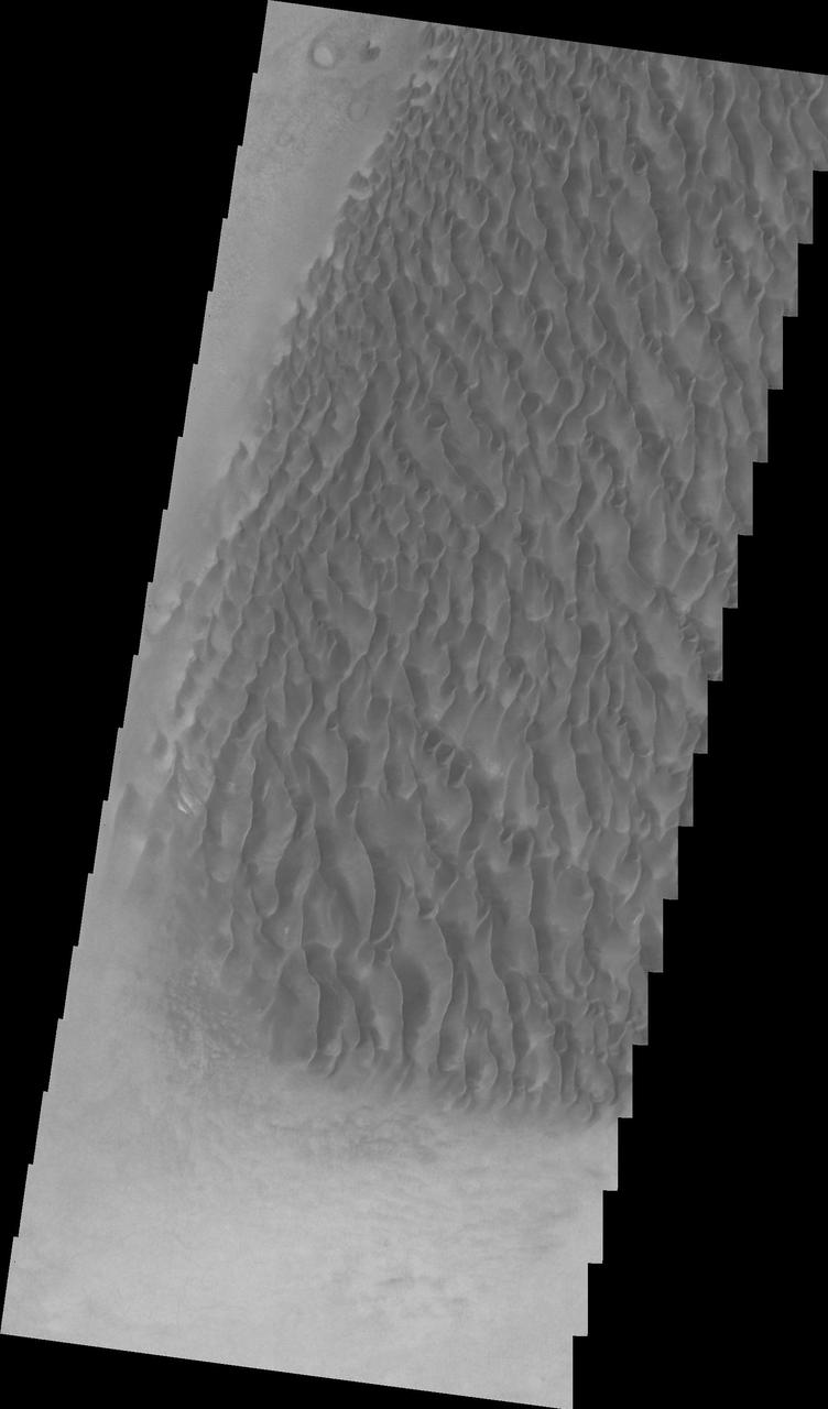 Proctor Crater Dunes VIS