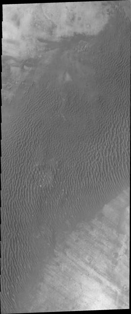 NASA image: Terra Cimmeria Dunes VIS