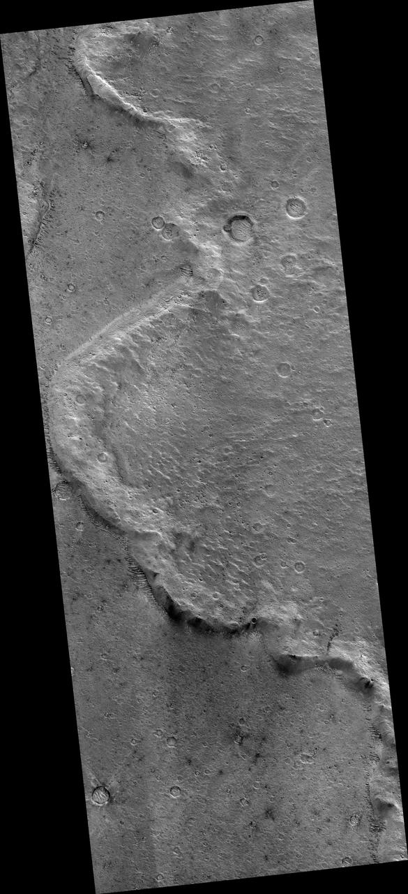 Distal Rampart of Crater in Chryse Planitia