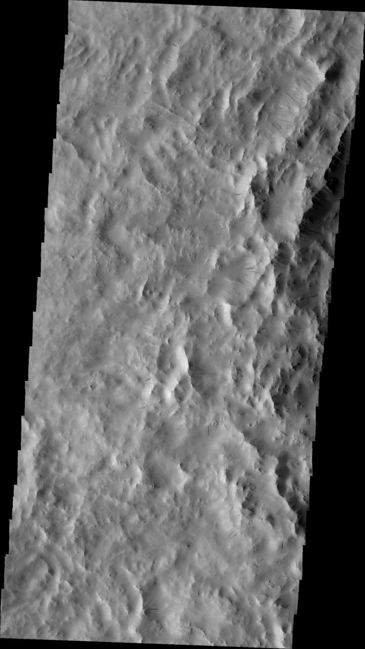 Dark Slope Streaks