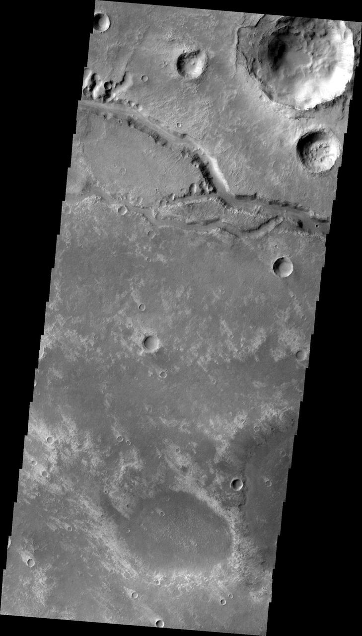 This image, taken by NASA Mars Odyssey, shows a short section of Nirgal Vallis. Several tributaries are visible in this image.