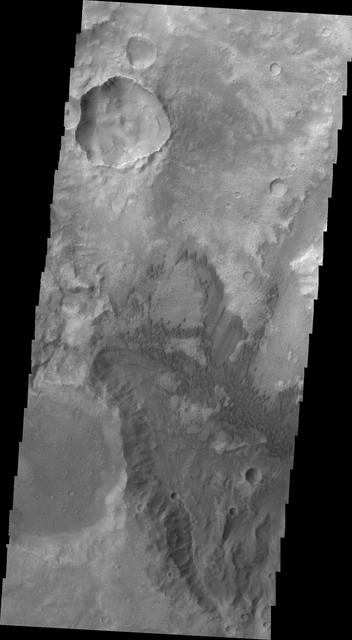 NASA image: Terra Cimmeria Dunes