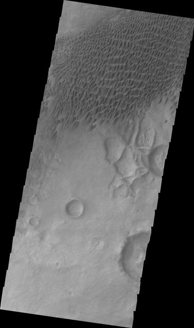 NASA image: Dunes Northeast of Douglass Crater