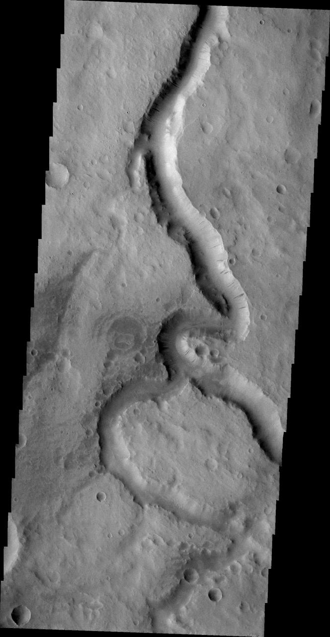 This image taken by NASA 2001 Mars Odyssey spacecraft shows a portion of Scamander Vallis. Dark slope streaks are also visible on the west-facing wall of the channel.