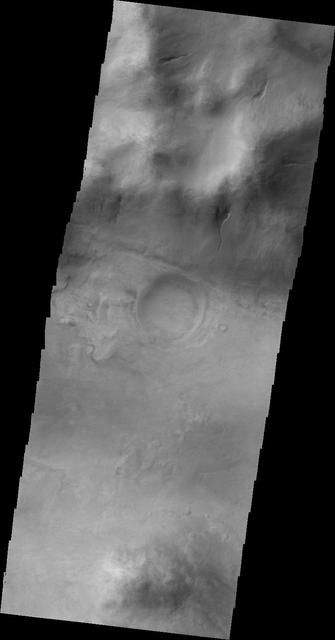 The gullies seen in this image taken by NASA 2001 Mars Odyssey spacecraft are located on the western rim region of the Argyre Basin.