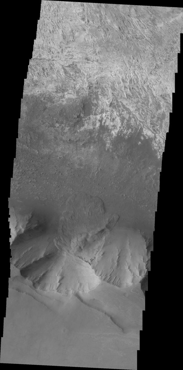 This image taken by NASA 2001 Mars Odyssey spacecraft shows a landslide deposit on the southern rim of Candor Chasma.