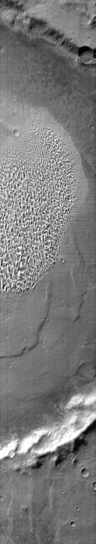 This daytime infrared image taken by NASA 2001 Mars Odyssey spacecraft shows part of the dune field located on the floor of Proctor Crater.