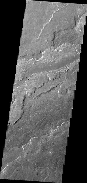 This image, taken by NASA 2001 Mars Odyssey spacecraft, shows a small portion of the lava flows associated with Arsia Mons.