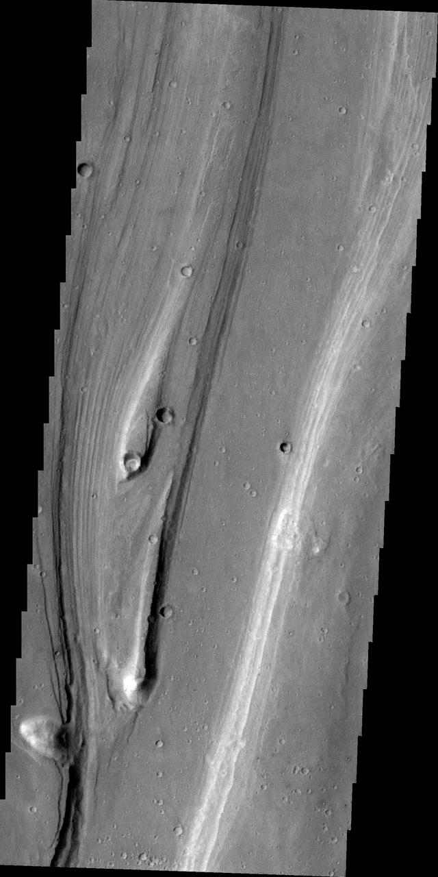 Streamlined islands indicate the direction of flow in this image of Shalbatana Vallis. taken by NASA 2001 Mars Odyssey spacecraft.