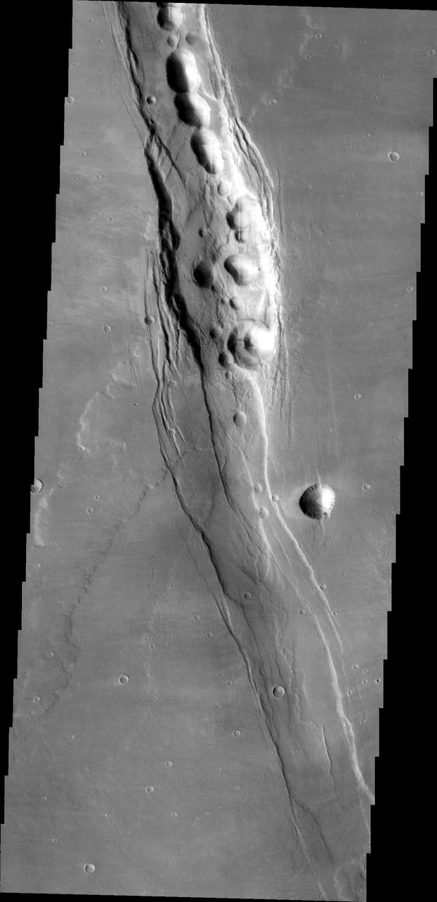 Alba Mons