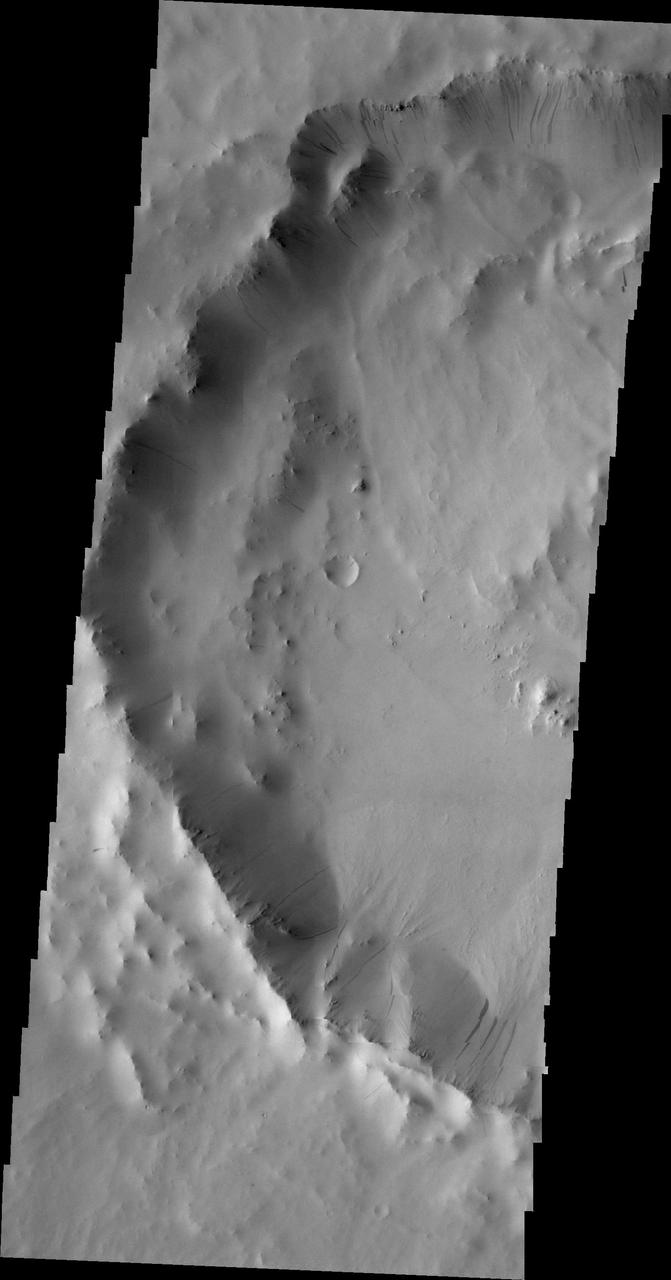 Many dark slope streaks are visible in this image of an unnamed crater in Terra Sabaea taken by NASA 2001 Mars Odyssey spacecraft.