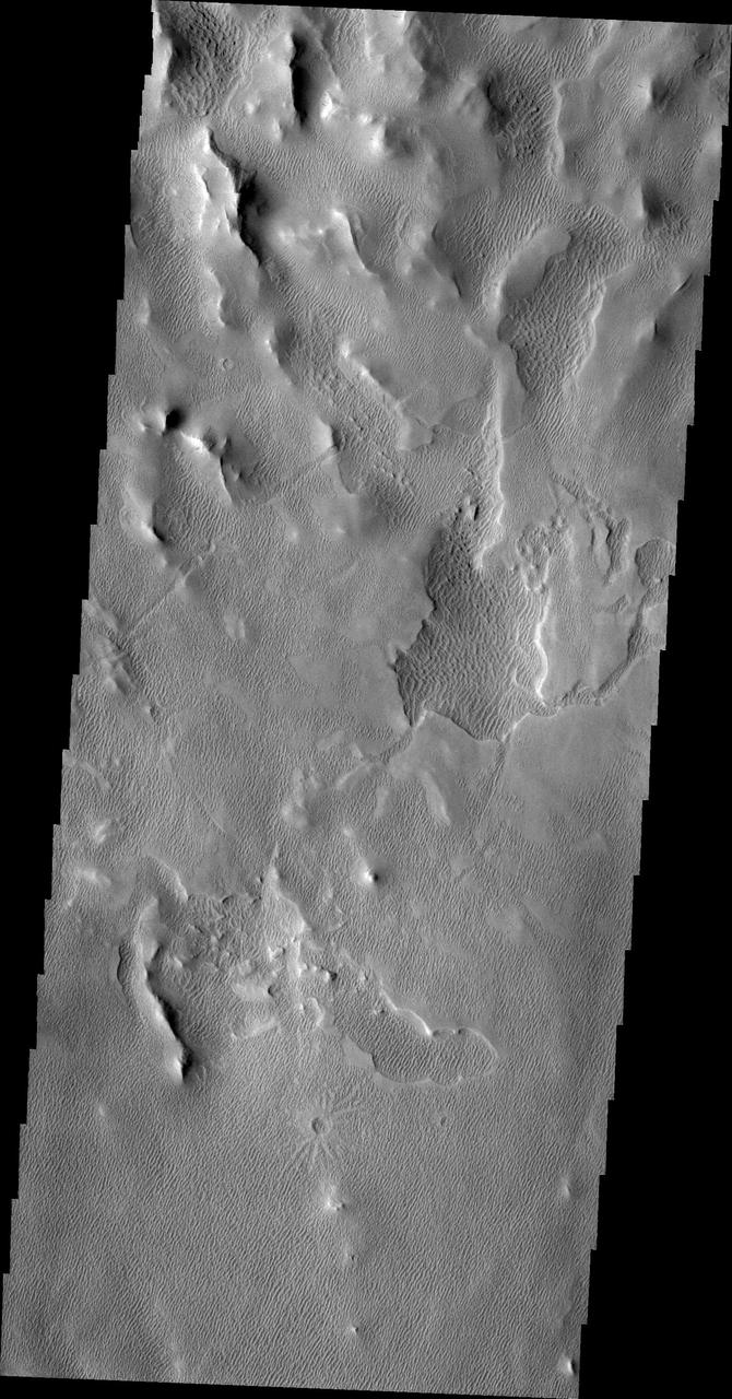 This image of an area south of Olympus Mons shows a region where the wind has been an active agent in modifying the surface. Small linear dunes cover the surface in this image taken by NASA 2001 Mars Odyssey spacecraft.