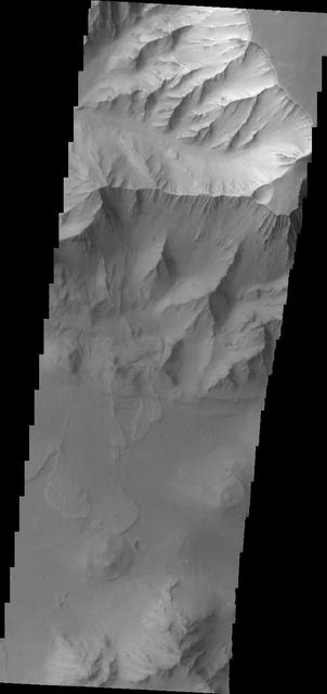 Several landslide deposits are visible in this image of Coprates Chasma taken by NASA 2001 Mars Odyssey spacecraft.