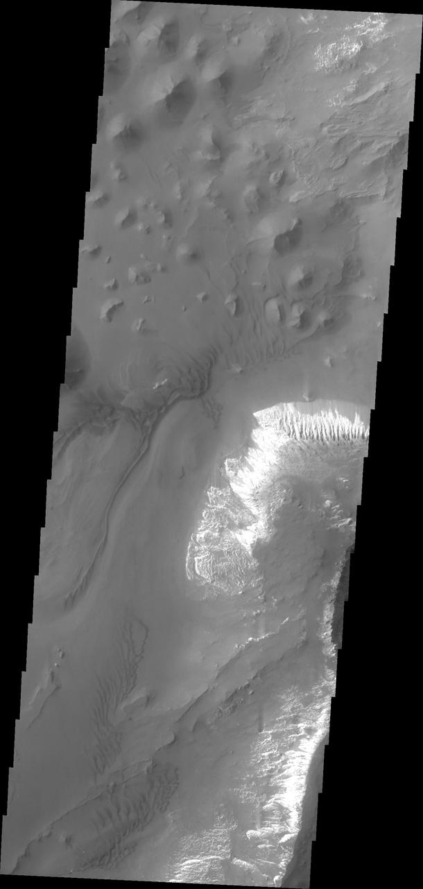Taken by NASA 2001 Mars Odyssey spacecraft, this image shows a small portion of the floor of Capri Chasma. Bright layered deposits and dunes are visible.