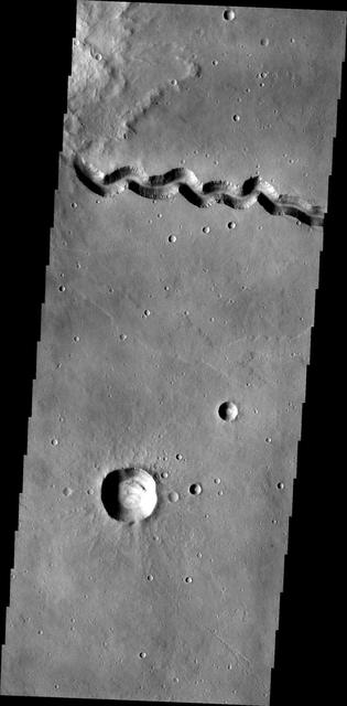 NASA image: Patapsco Vallis