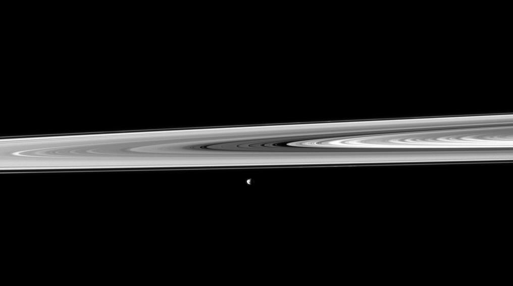 Janus, passing between the rings and NASA Cassini orbiter, poses for a snapshot taken by the spacecraft narrow-angle camera.