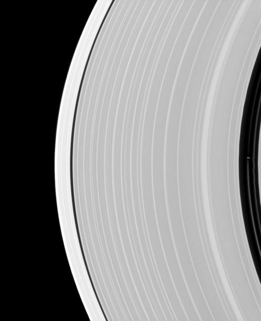 Saturn small, ring-embedded moon Pan, on the extreme right of this NASA Cassini spacecraft image, can be seen interacting with the ringlets that share the Encke Gap of the A ring with this moon.