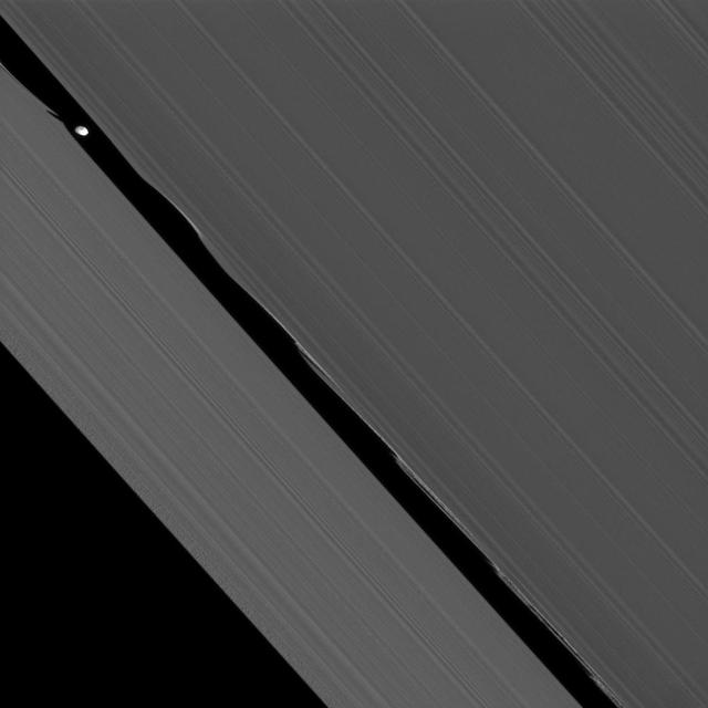 NASA image: Closest Daphnis
